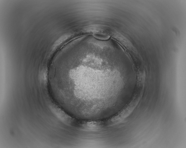 X0000112770064200909031618