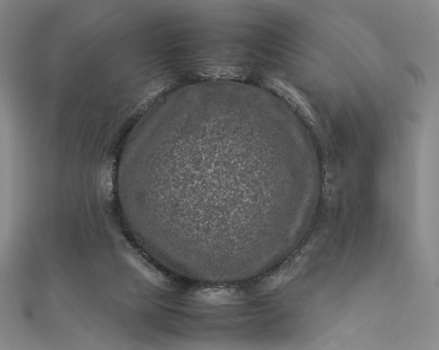 X0000112770065200909031618