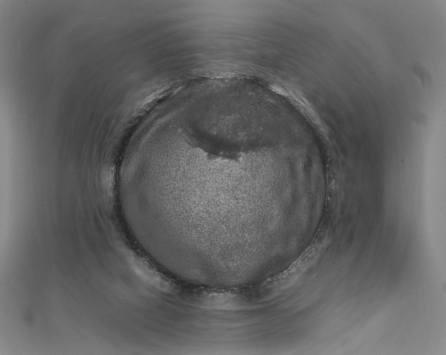 X0000112770066200909031618