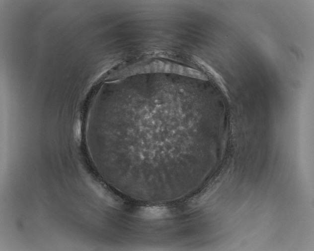 X0000112770067200909031618