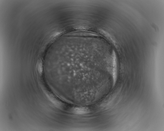 X0000112770069200909031618