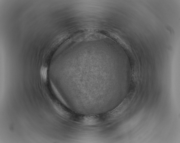 X0000112770070200909031618