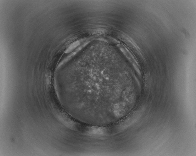 X0000112770073200909031618