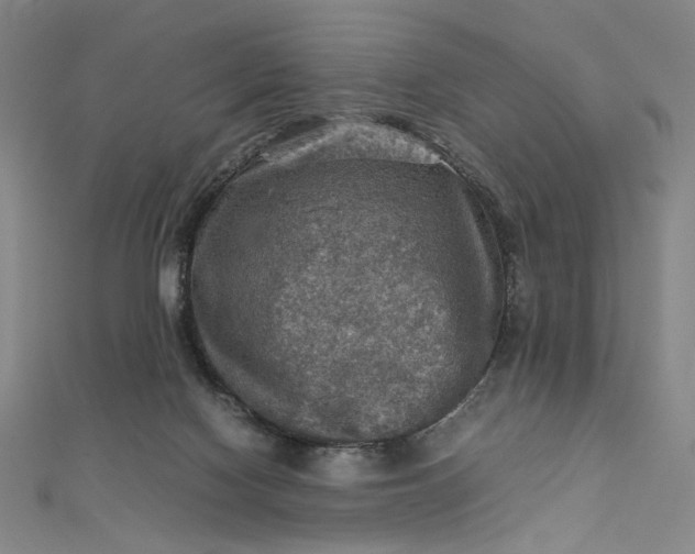 X0000112770074200909031618