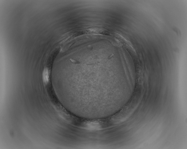 X0000112770075200909031618