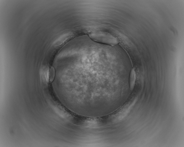 X0000112770076200909031618