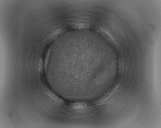 X0000112770077200909031618