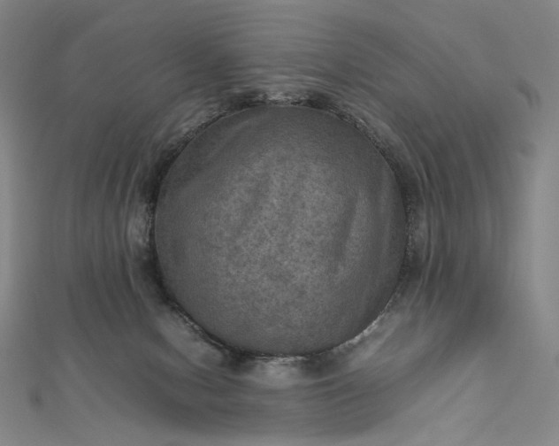 X0000112770078200909031618