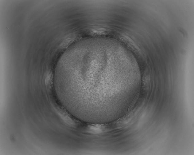 X0000112770079200909031618