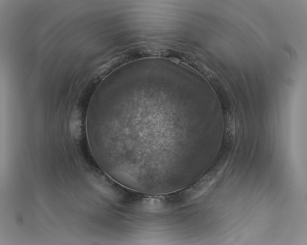 X0000112770080200909031618