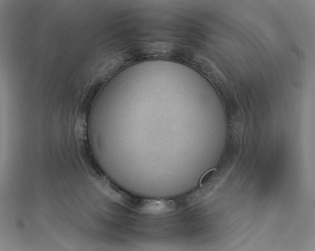 X0000112770083200909031618