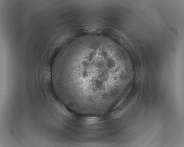 X0000112770085200909031618