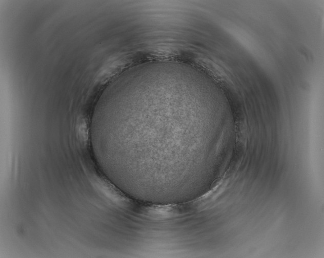 X0000112770086200909031618