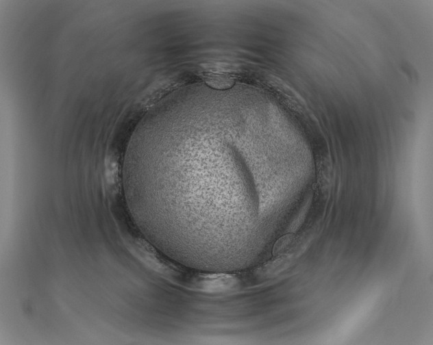 X0000112770087200909031619