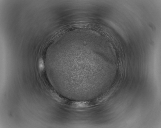 X0000112770089200909031619