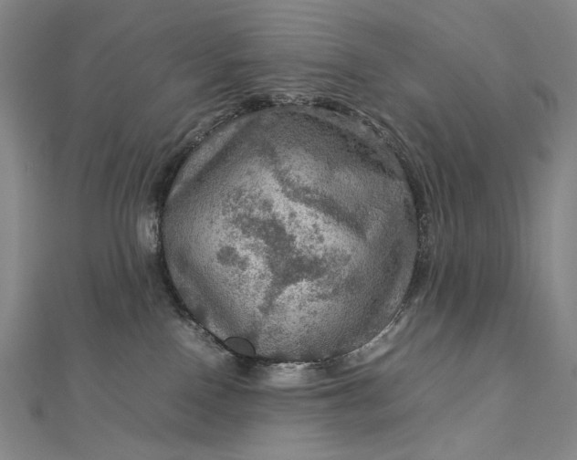 X0000112770090200909031619