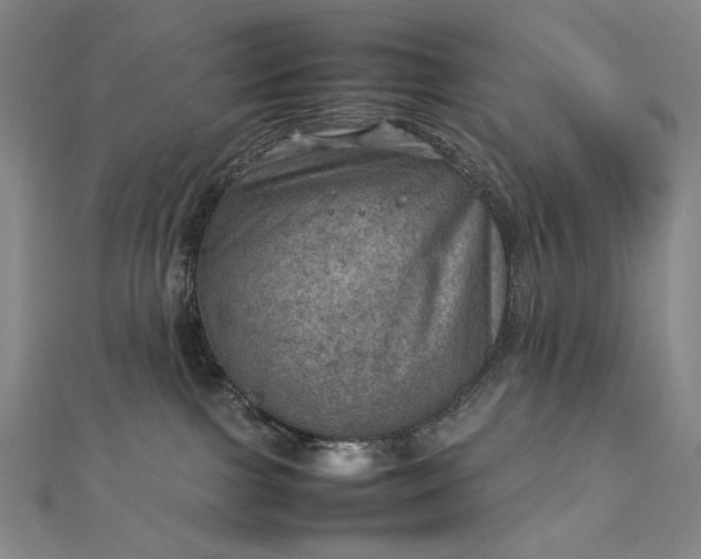 X0000112770091200909031619