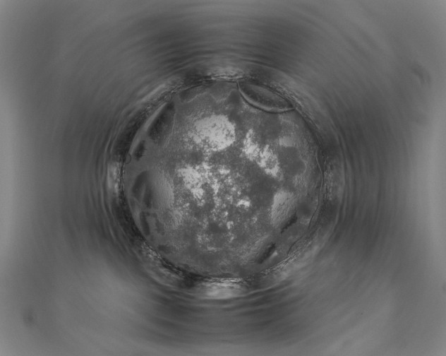 X0000112770093200909031619