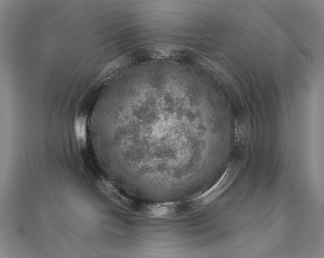 X0000112770094200909031619