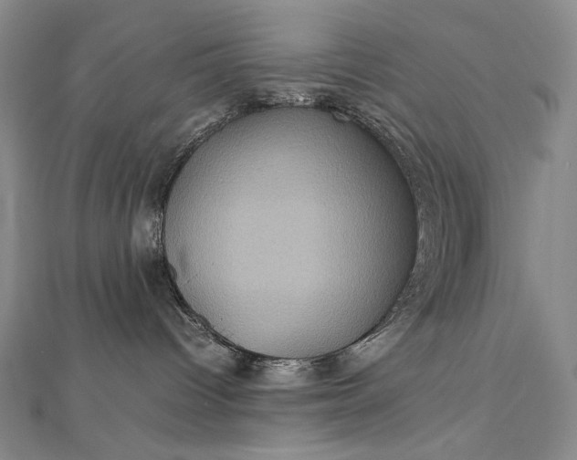 X0000112770096200909031619