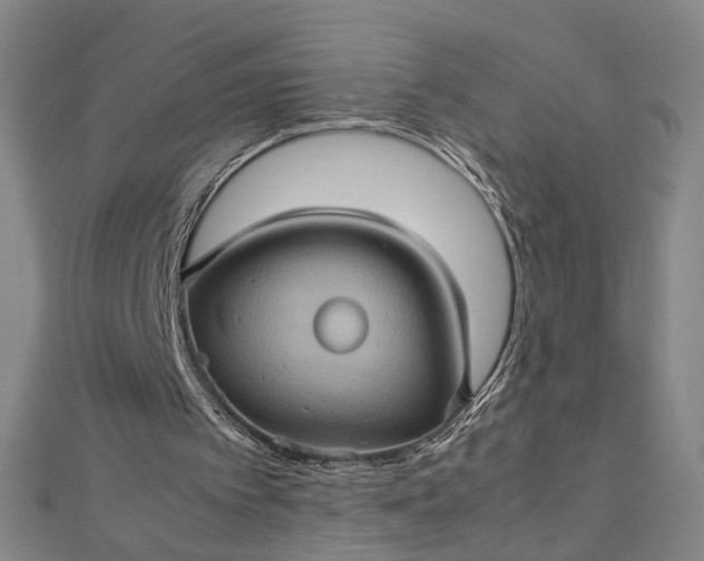 X0000112770097200909031618