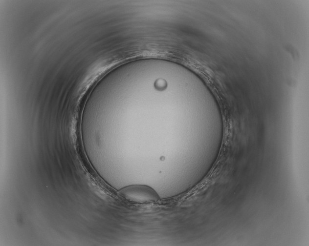 X0000112770098200909031618