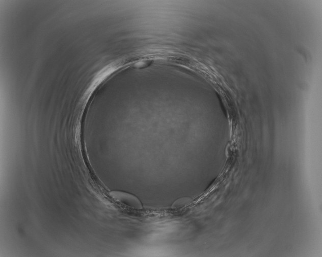 X0000112770099200909031618