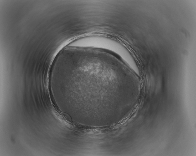 X0000112770100200909031618