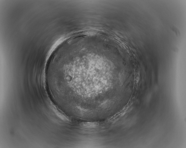 X0000112770102200909031618