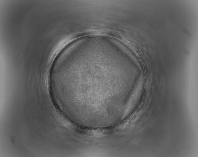 X0000112770103200909031618