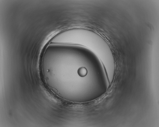 X0000112770104200909031618