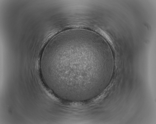 X0000112770105200909031618