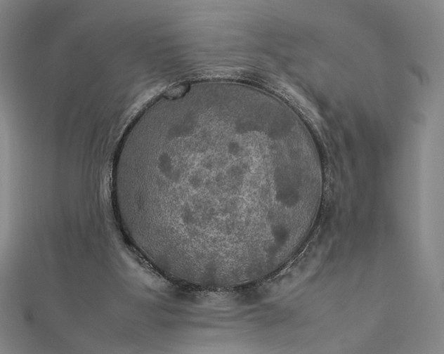 X0000112770107200909031618