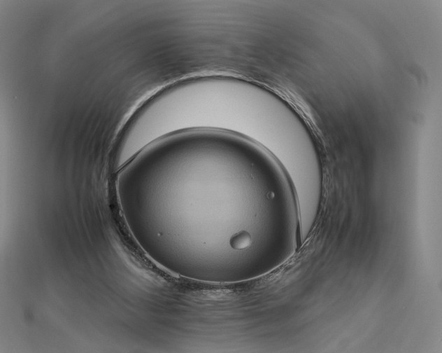 X0000112770108200909031618