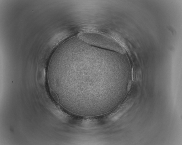 X0000112770109200909031618