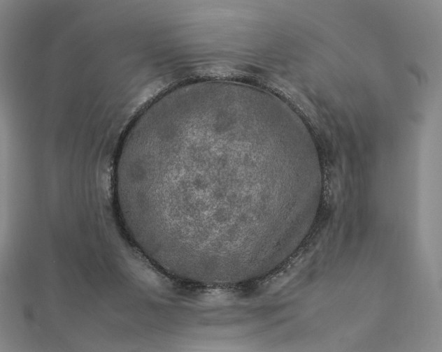 X0000112770111200909031618