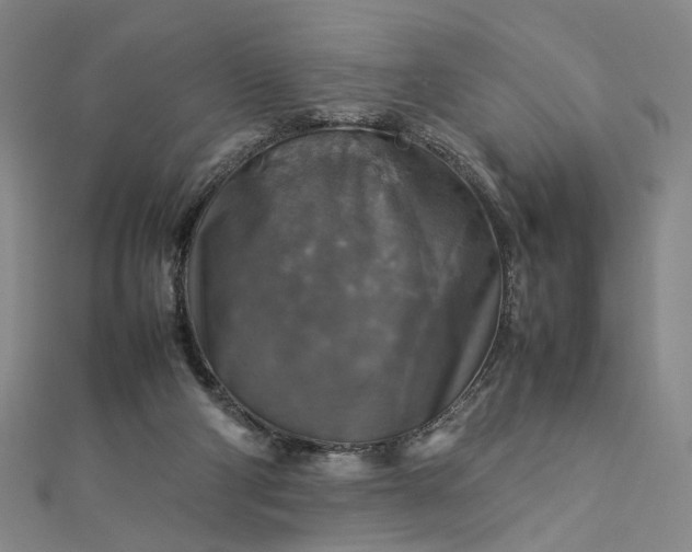 X0000112770114200909031618