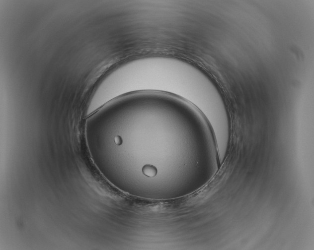 X0000112770116200909031618