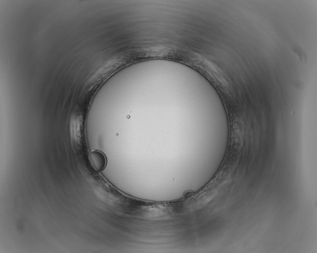 X0000112770118200909031618