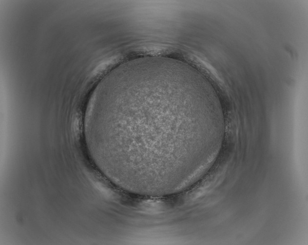 X0000112770119200909031618