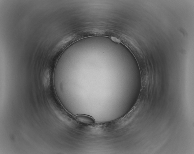 X0000112770120200909031618