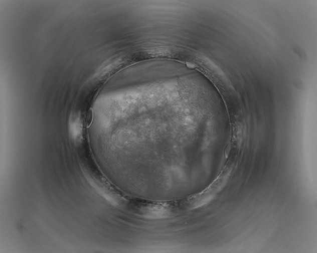 X0000112770124200909031618