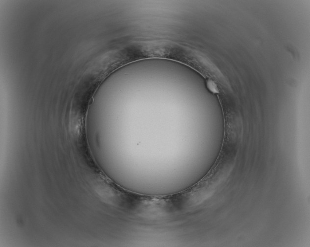 X0000112770125200909031618