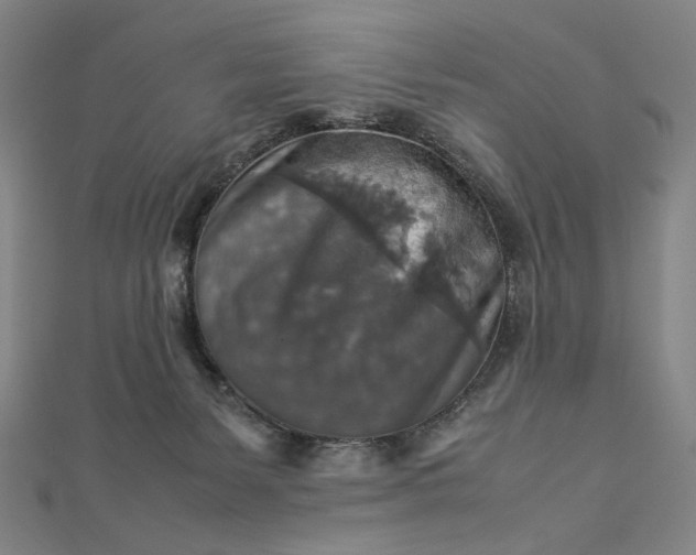 X0000112770127200909031618