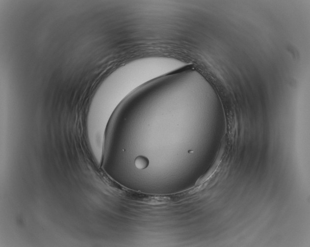 X0000112770128200909031618