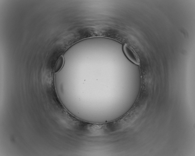 X0000112770129200909031618