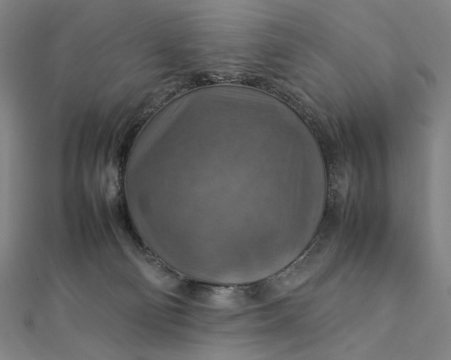 X0000112770130200909031618