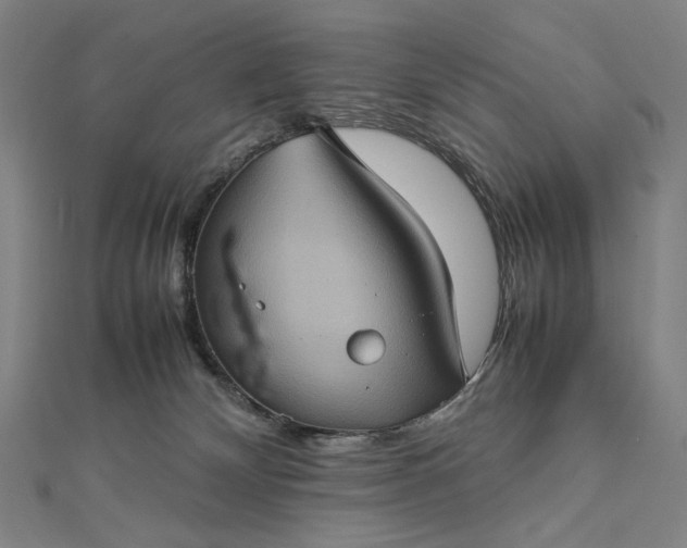 X0000112770132200909031618