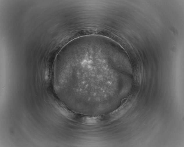 X0000112770134200909031618