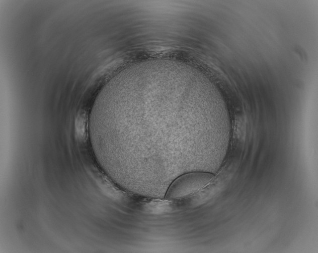 X0000112770138200909031618